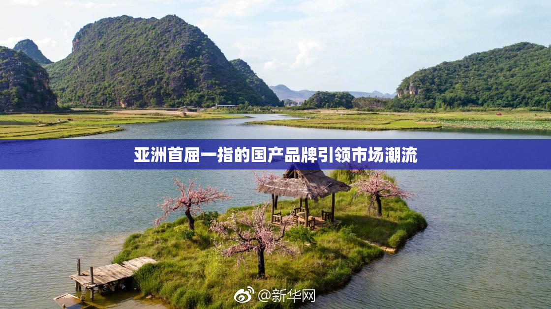 亚洲首屈一指的国产品牌引领市场潮流