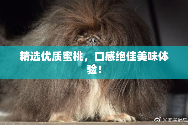 精选优质蜜桃，口感绝佳美味体验！