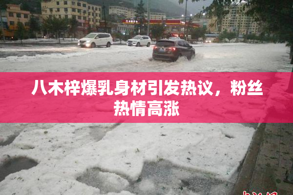 八木梓爆乳身材引发热议，粉丝热情高涨