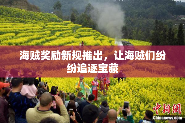 海贼奖励新规推出，让海贼们纷纷追逐宝藏