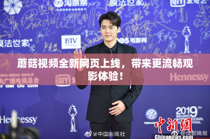 蘑菇视频全新网页上线，带来更流畅观影体验！