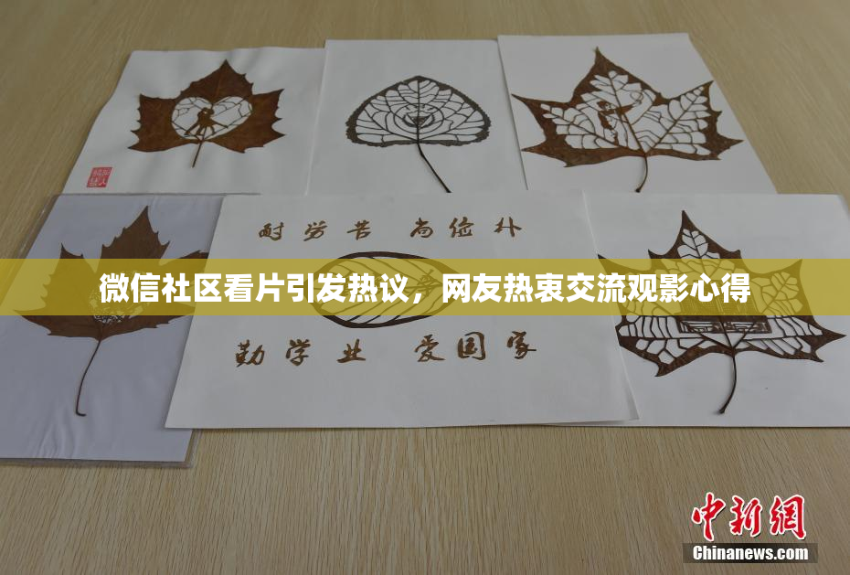 微信社区看片引发热议，网友热衷交流观影心得