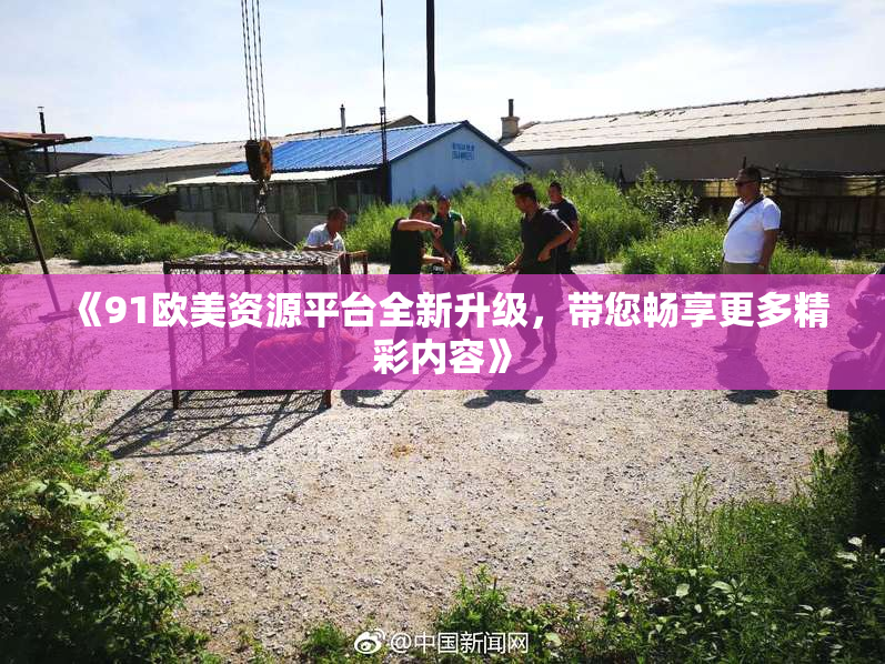 《91欧美资源平台全新升级，带您畅享更多精彩内容》