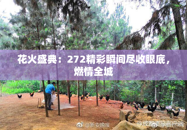 花火盛典：272精彩瞬间尽收眼底，燃情全城