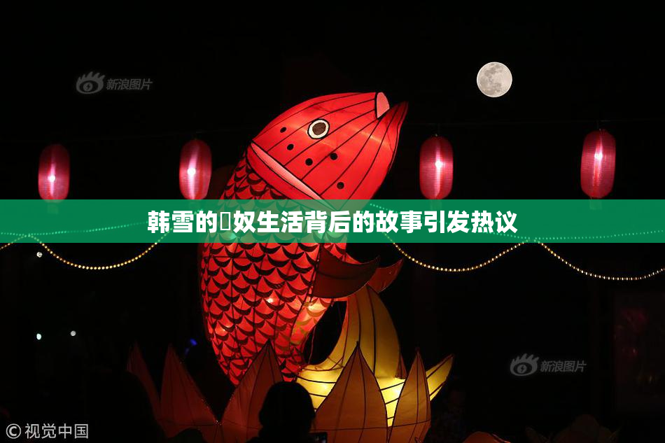 韩雪的婬奴生活背后的故事引发热议