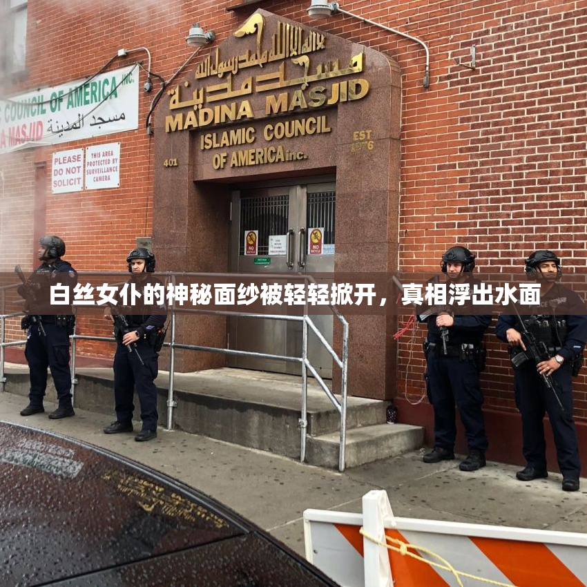 白丝女仆的神秘面纱被轻轻掀开，真相浮出水面