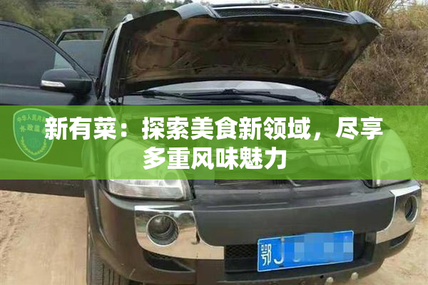 新有菜：探索美食新领域，尽享多重风味魅力