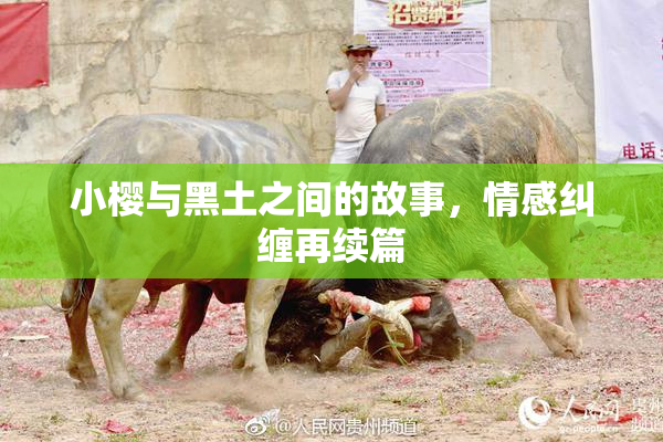 小樱与黑土之间的故事，情感纠缠再续篇