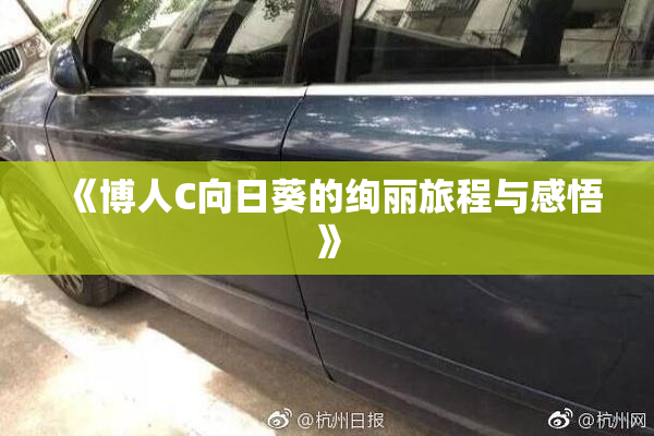 《博人C向日葵的绚丽旅程与感悟》