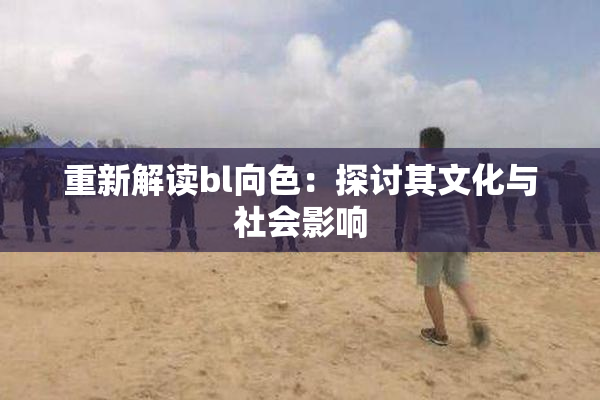 重新解读bl向色：探讨其文化与社会影响