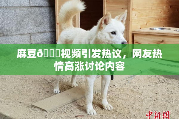 麻豆🔞视频引发热议，网友热情高涨讨论内容