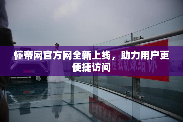 懂帝网官方网全新上线，助力用户更便捷访问