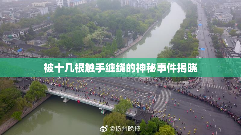 被十几根触手缠绕的神秘事件揭晓