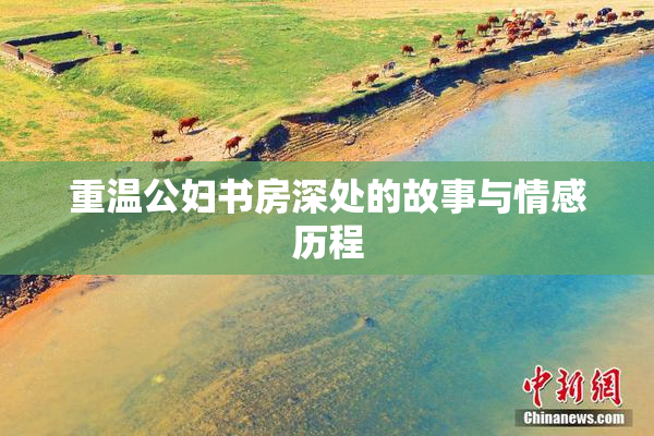 重温公妇书房深处的故事与情感历程