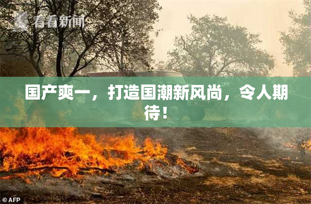 国产爽一，打造国潮新风尚，令人期待！