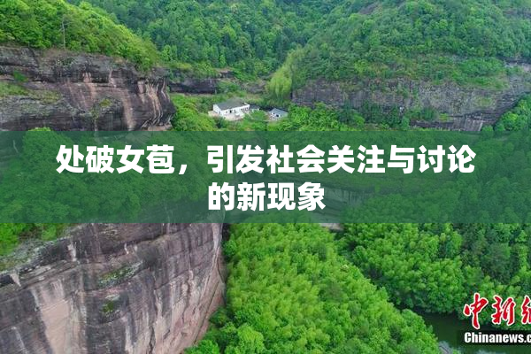 处破女苞，引发社会关注与讨论的新现象
