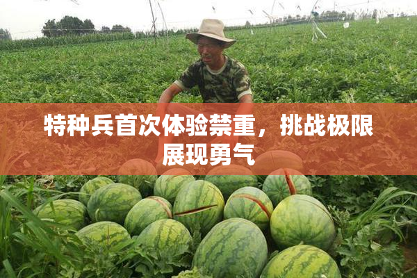 特种兵首次体验禁重，挑战极限展现勇气