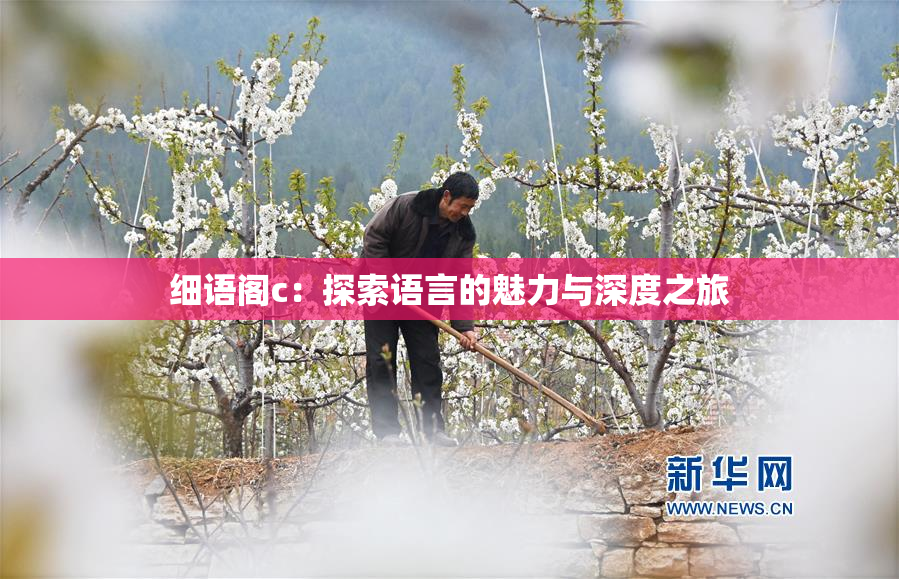 细语阁c：探索语言的魅力与深度之旅
