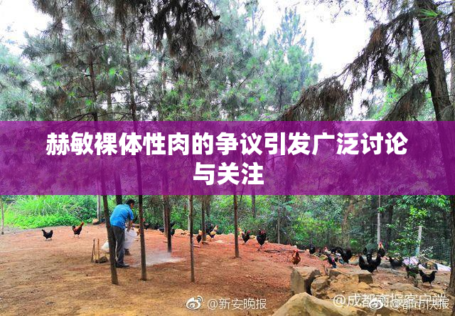 赫敏裸体性肉的争议引发广泛讨论与关注