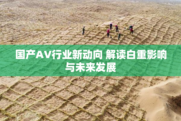 国产AV行业新动向 解读白重影响与未来发展