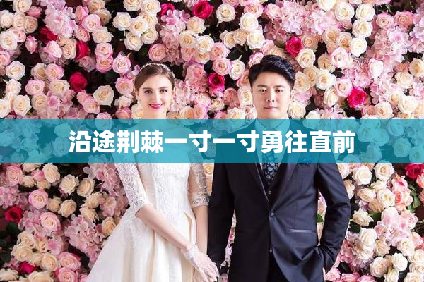 沿途荆棘一寸一寸勇往直前