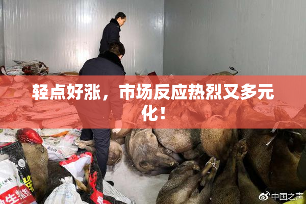 轻点好涨，市场反应热烈又多元化！