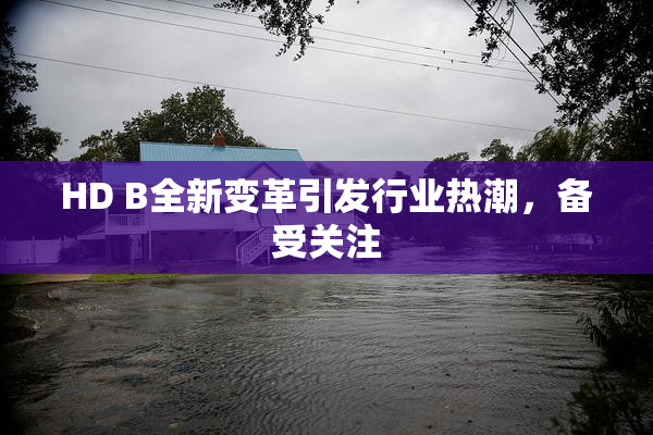 HD B全新变革引发行业热潮，备受关注