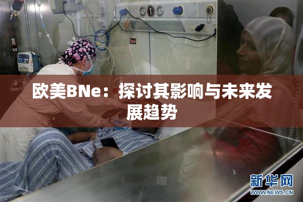 欧美BNe：探讨其影响与未来发展趋势