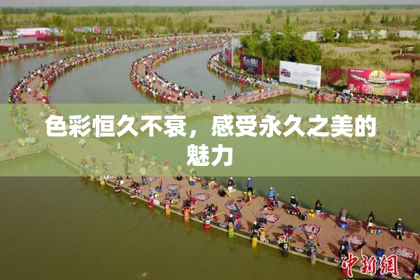 色彩恒久不衰，感受永久之美的魅力