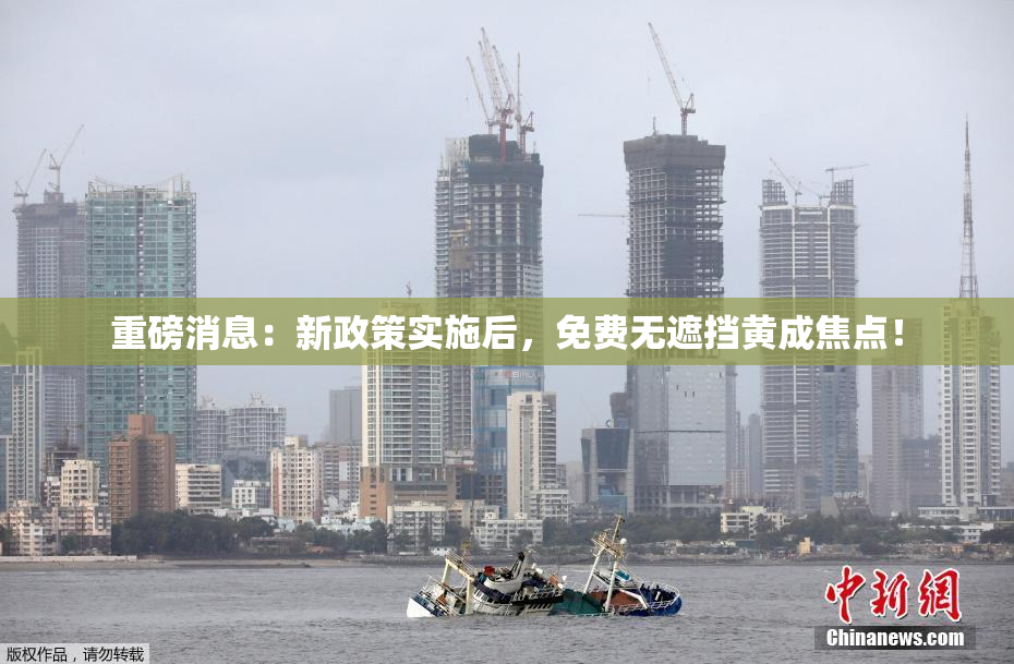 重磅消息：新政策实施后，免费无遮挡黄成焦点！