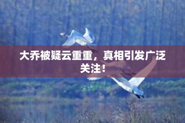 大乔被疑云重重，真相引发广泛关注！