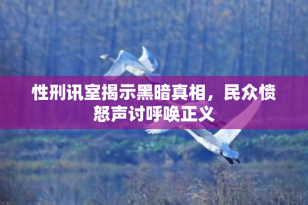 性刑讯室揭示黑暗真相，民众愤怒声讨呼唤正义