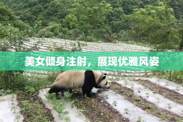 美女倾身注射，展现优雅风姿