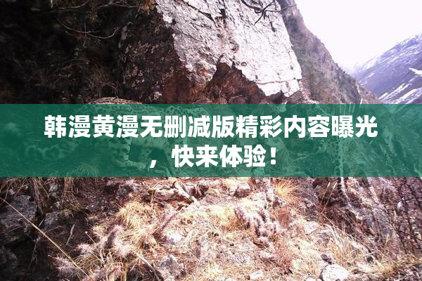 韩漫黄漫无删减版精彩内容曝光，快来体验！