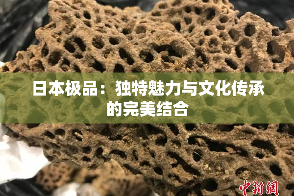 日本极品：独特魅力与文化传承的完美结合