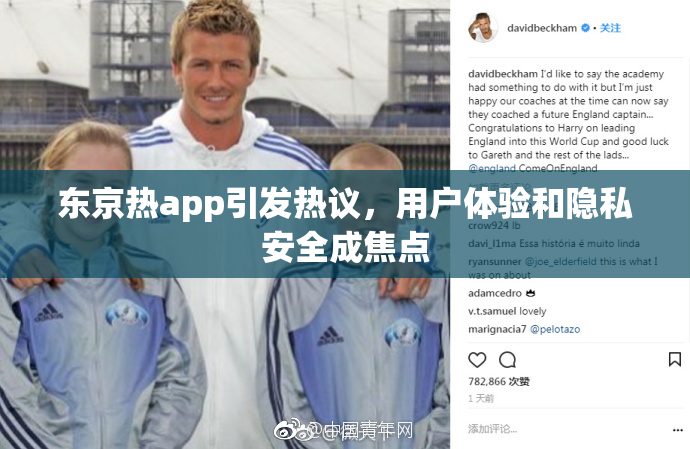东京热app引发热议，用户体验和隐私安全成焦点