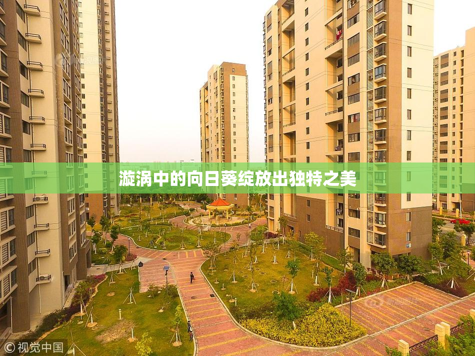 漩涡中的向日葵绽放出独特之美