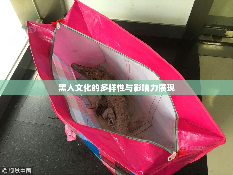 黑人文化的多样性与影响力展现