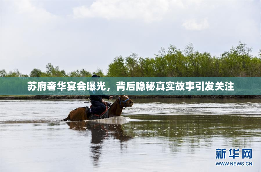 苏府奢华宴会曝光，背后隐秘真实故事引发关注