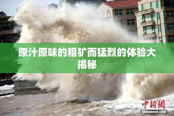 原汁原味的粗犷而猛烈的体验大揭秘