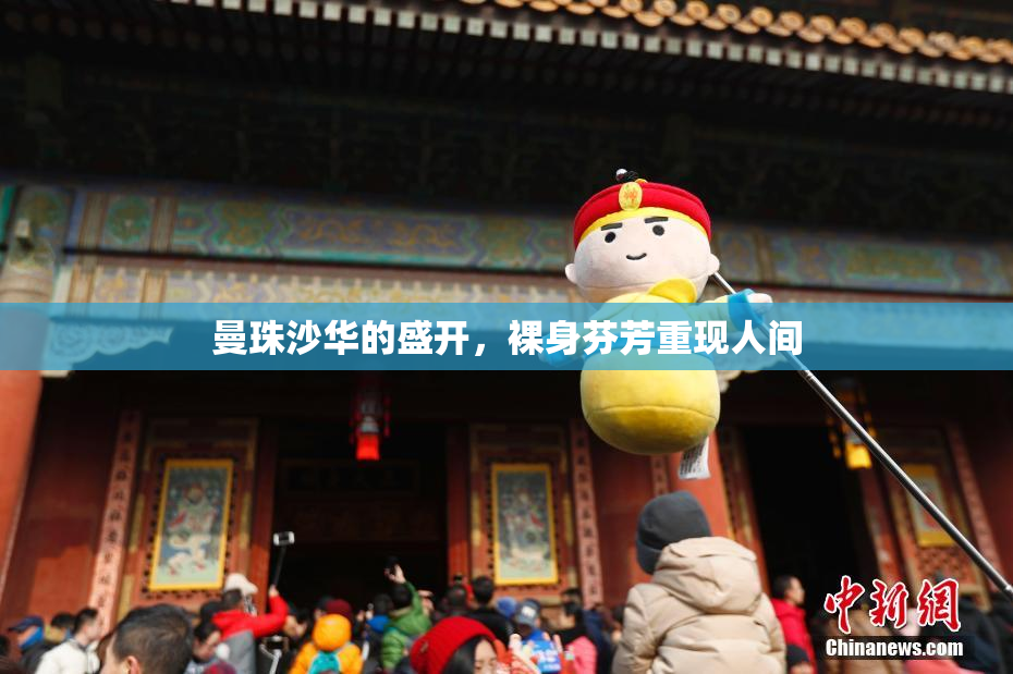 曼珠沙华的盛开，裸身芬芳重现人间