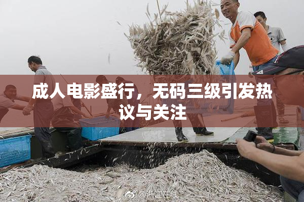 成人电影盛行，无码三级引发热议与关注
