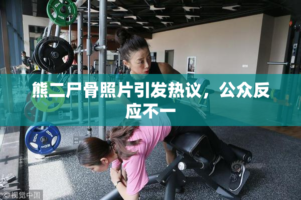 熊二尸骨照片引发热议，公众反应不一