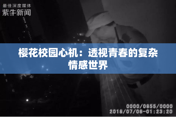 樱花校园心机：透视青春的复杂情感世界