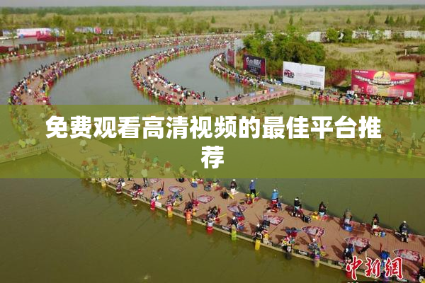 免费观看高清视频的最佳平台推荐