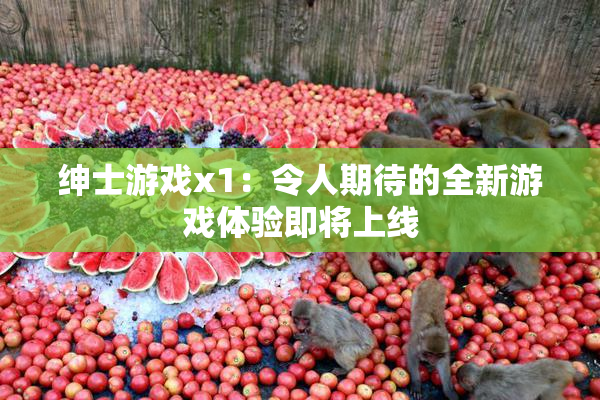 绅士游戏x1：令人期待的全新游戏体验即将上线