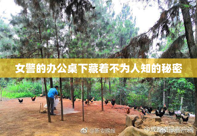 女警的办公桌下藏着不为人知的秘密