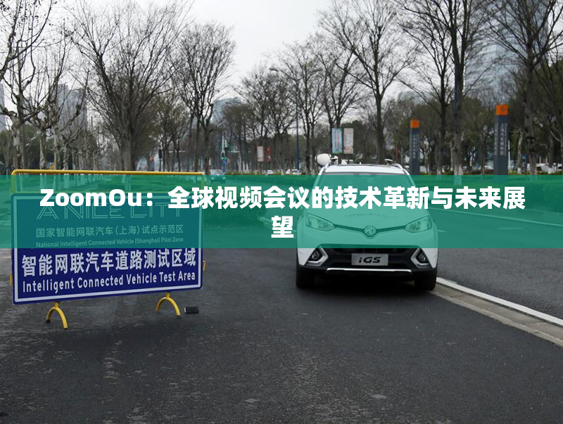 ZoomOu：全球视频会议的技术革新与未来展望