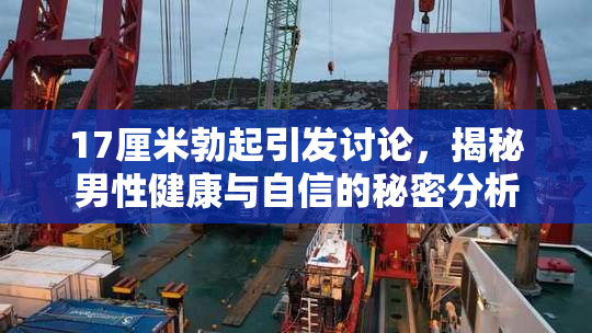 17厘米勃起引发讨论，揭秘男性健康与自信的秘密分析