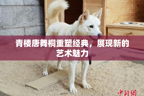 青楼唐舞桐重塑经典，展现新的艺术魅力